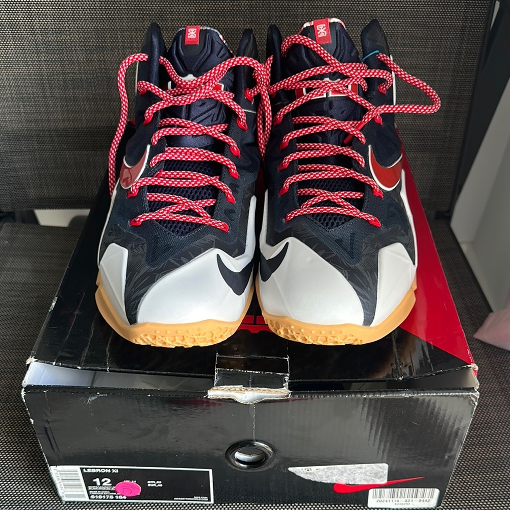 Nike LeBron James XI Independence Day Edition w/Red & Blue Bold Design